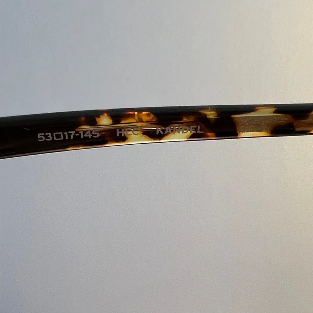 Barton Perreira Tortoise Eyeglasses